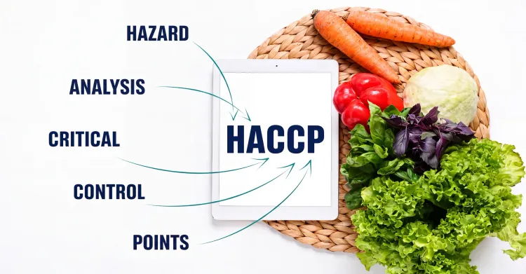 Fresh vegetables surround a tablet displaying “HACCP,” with arrows connecting the words Hazard, Analysis, Critical, Control, and Points.