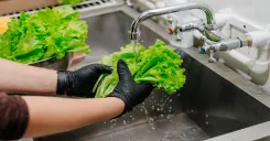 Foodservice worker washing fresh lettuce under running water in a commercial kitchen to reduce produce contamination risks.
